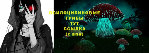 молекула духа Арсеньев