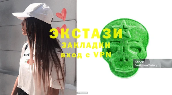 крисы Богородицк