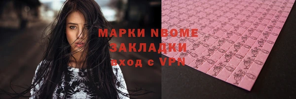 молекула духа Арсеньев