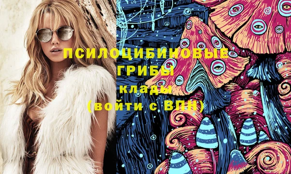 крисы Богородицк