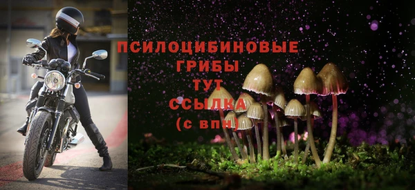 молекула духа Арсеньев