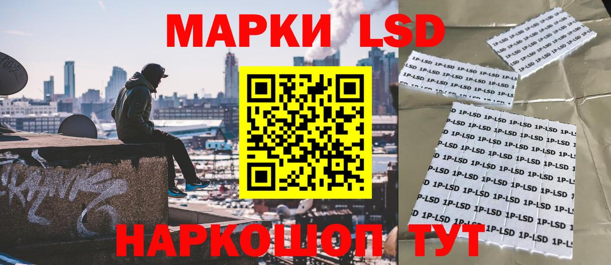 Наркотические марки  хочу   Вход с VPN  Новодвинск  Марки N-bome 1,8мг 