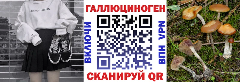 darknet Telegram  Новодвинск  Псилоцибиновые грибы Magic Shrooms  OMG  