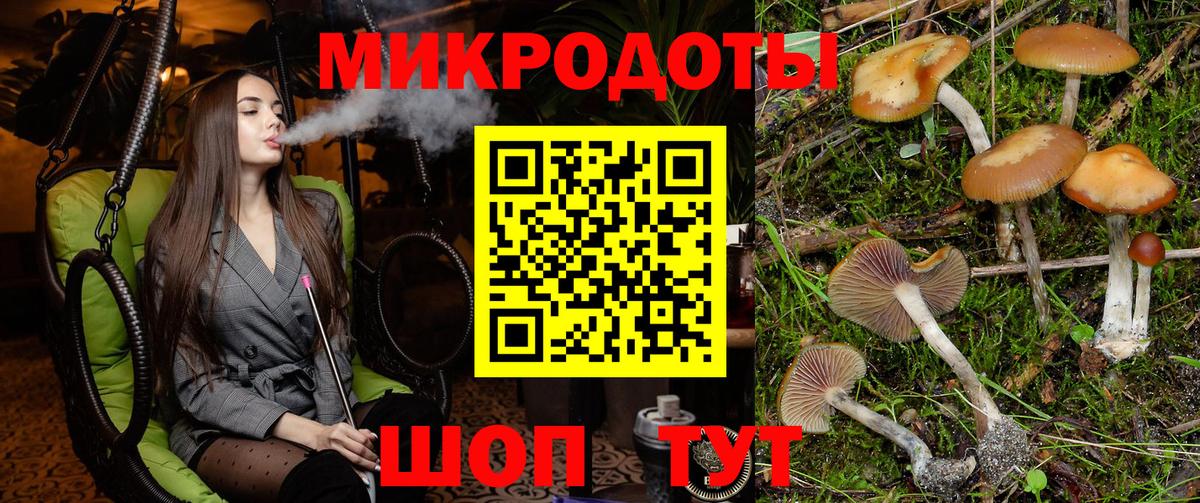 Псилоцибиновые грибы мухоморы Новодвинск