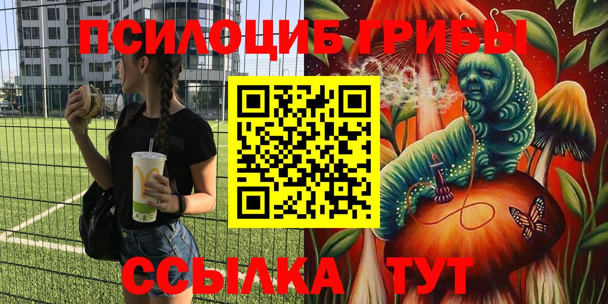 Новодвинск  Псилоцибиновые грибы Cubensis  Вход с VPN  Псилоцибиновые грибы Psilocybe 